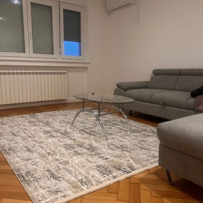Rental of a spacious 2-room apartment, 67 m², in the city center of Belgrade, Serbia